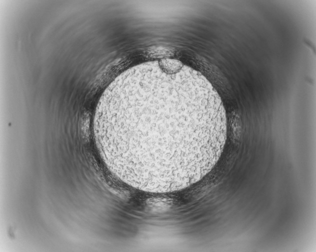 X0000101460745200808041041