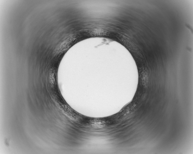 X0000101460746200808041041