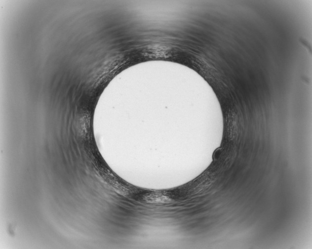 X0000101460747200808041041