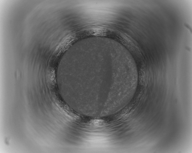 X0000101460748200808041041