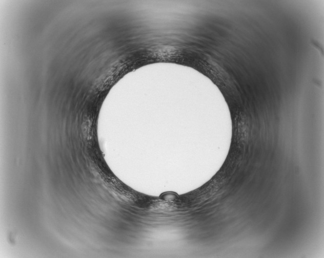 X0000101460750200808041041