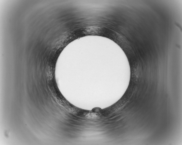 X0000101460751200808041041