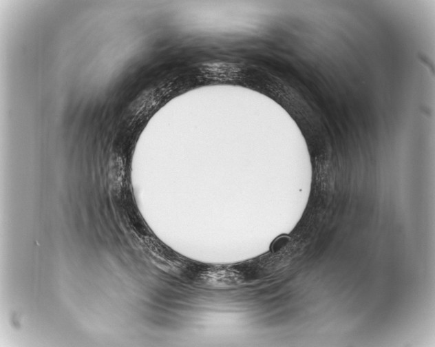 X0000101460752200808041041