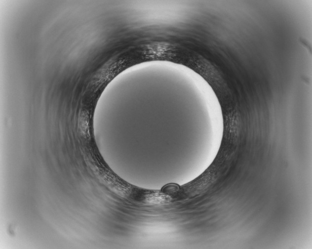 X0000101460754200808041041