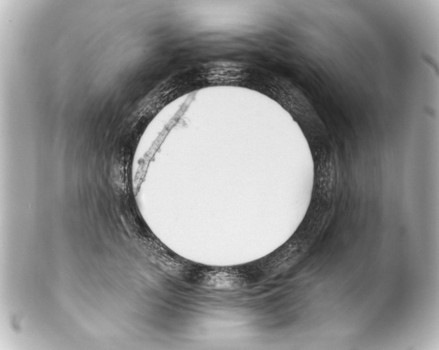 X0000101460755200808041041