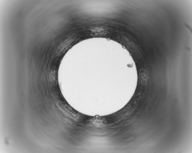 X0000101460756200808041041