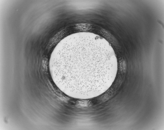 X0000101460757200808041041