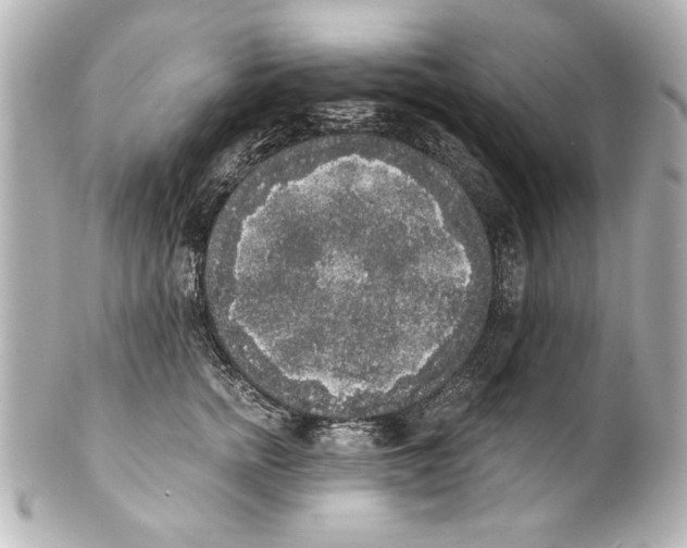 X0000101460758200808041041