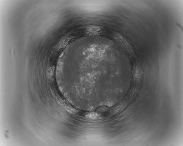 X0000101460759200808041041