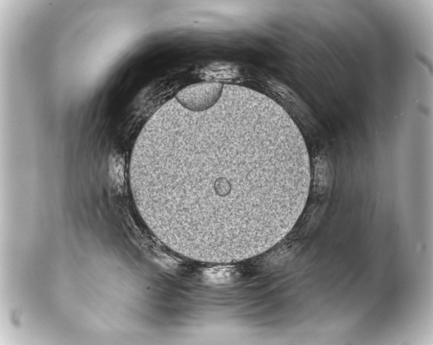 X0000101460761200808041041