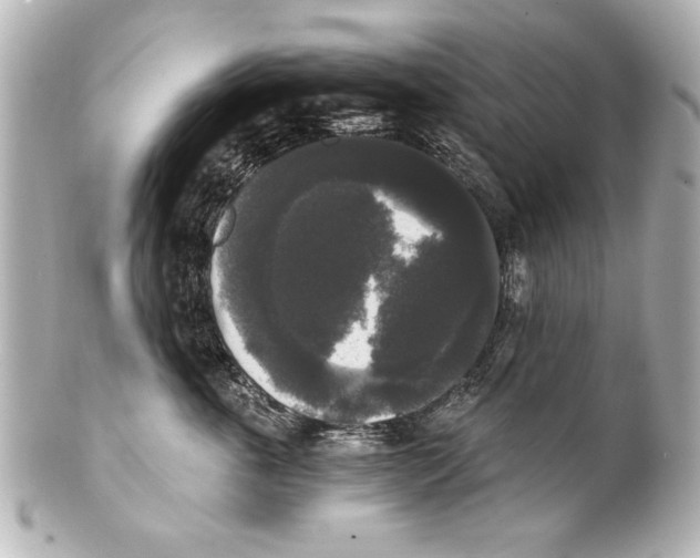 X0000101460763200808041041