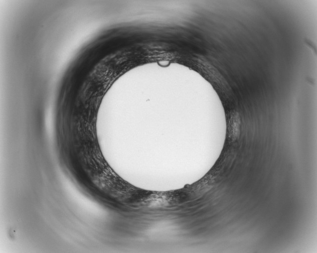 X0000101460764200808041042