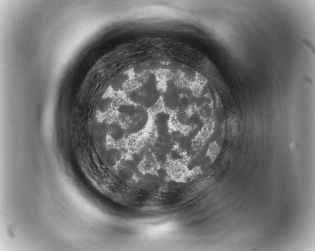 X0000101460765200808041042