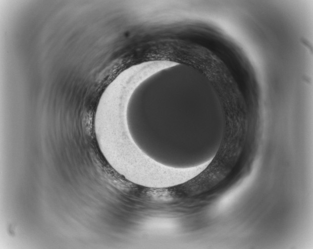 X0000101460767200808041042