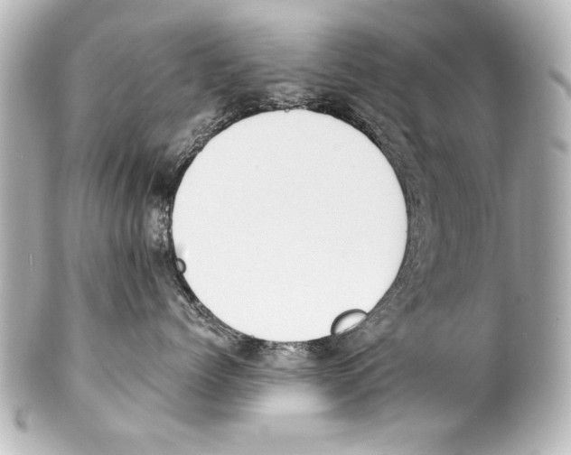 X0000101460768200808041042