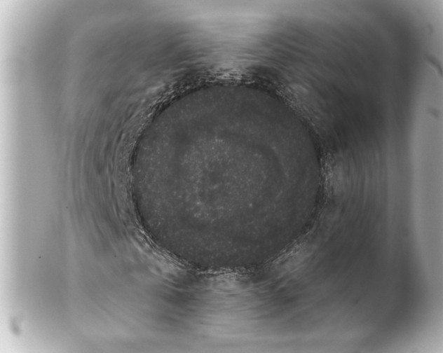 X0000101460769200808041041