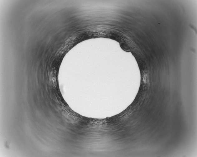 X0000101460771200808041041