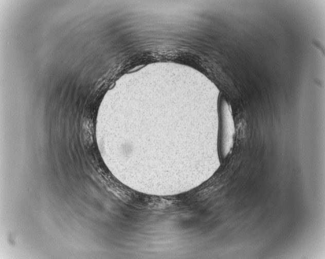 X0000101460772200808041041