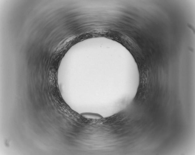 X0000101460773200808041041