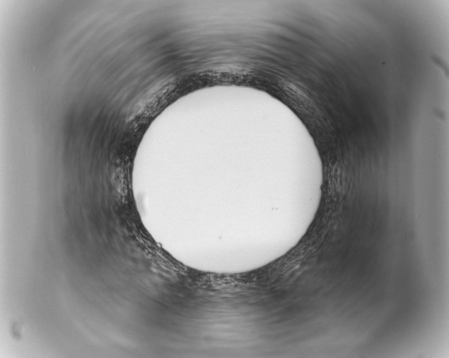 X0000101460774200808041041