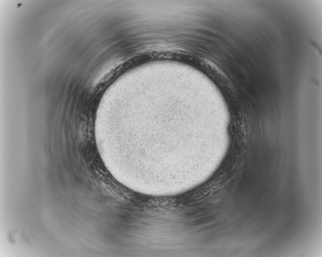 X0000101460775200808041041