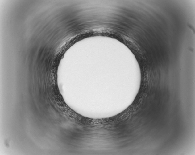 X0000101460776200808041041