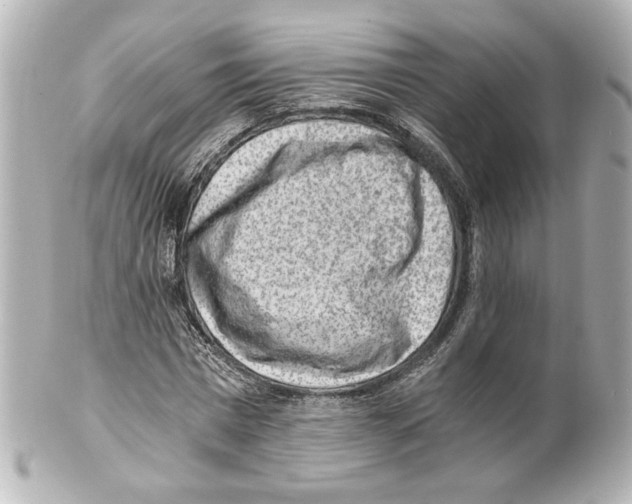 X0000101460777200808041041