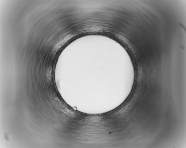 X0000101460778200808041041