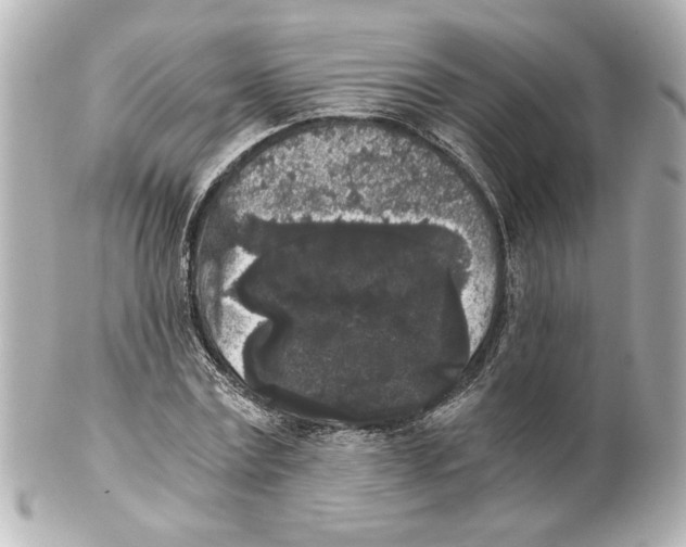 X0000101460779200808041041