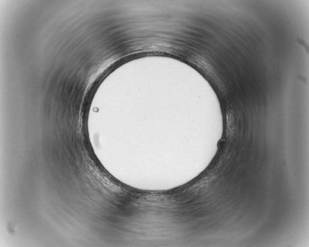 X0000101460780200808041041