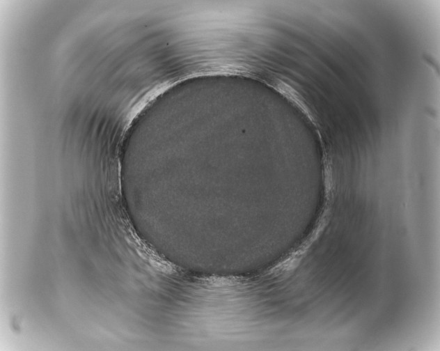 X0000101460781200808041041