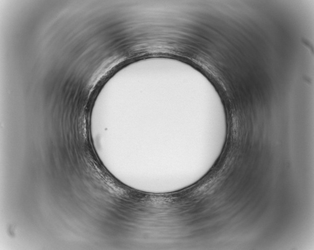 X0000101460782200808041041