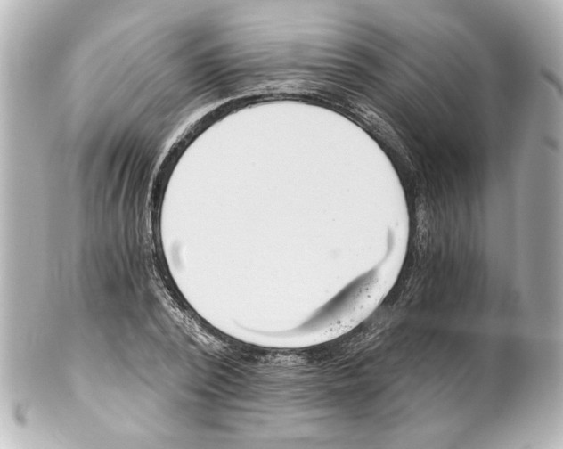 X0000101460784200808041041