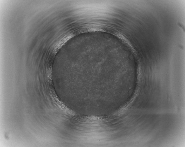 X0000101460785200808041041