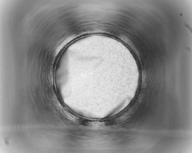 X0000101460789200808041041
