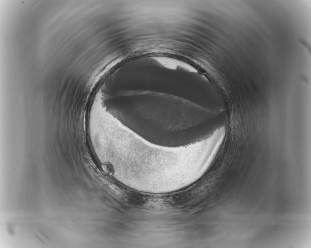 X0000101460790200808041041