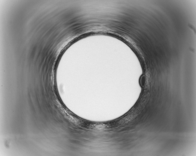 X0000101460791200808041041