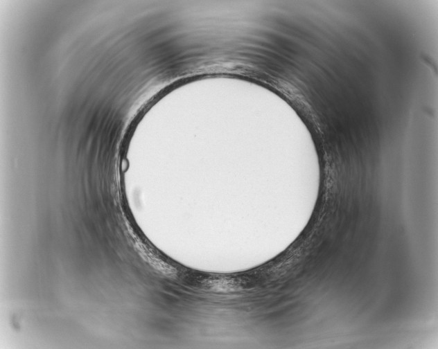 X0000101460792200808041041