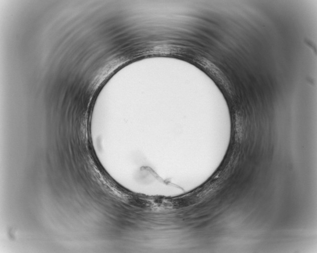 X0000101460794200808041041