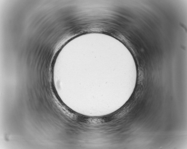 X0000101460795200808041041