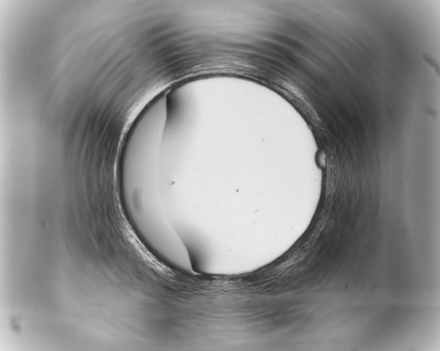 X0000101460796200808041041