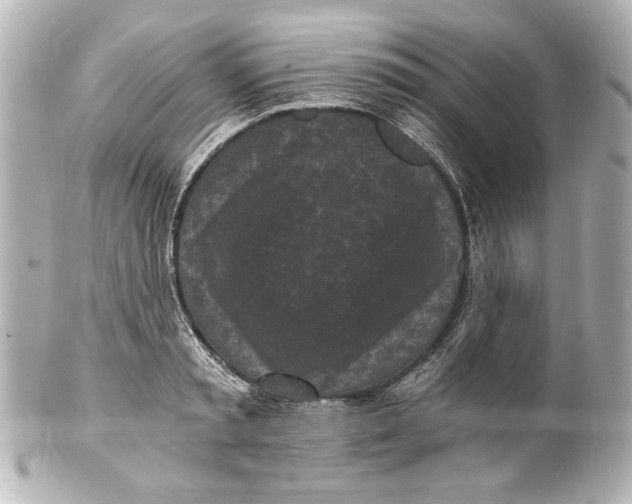 X0000101460797200808041041