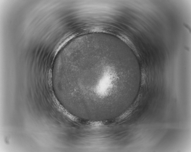 X0000101460798200808041041