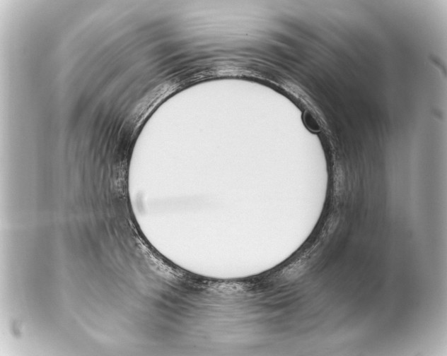 X0000101460801200808041040