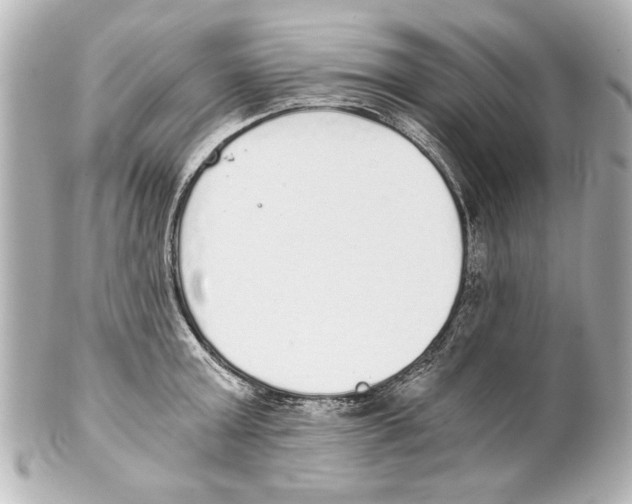X0000101460803200808041040