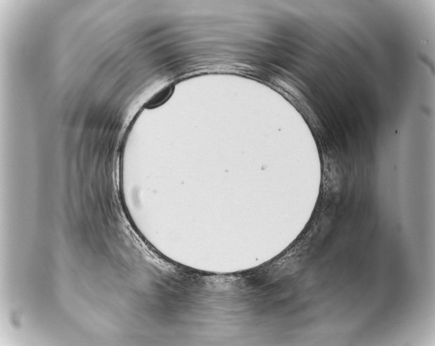 X0000101460804200808041040