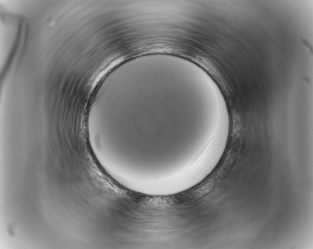 X0000101460806200808041040