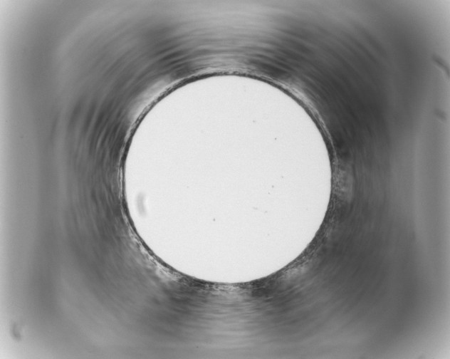 X0000101460807200808041040