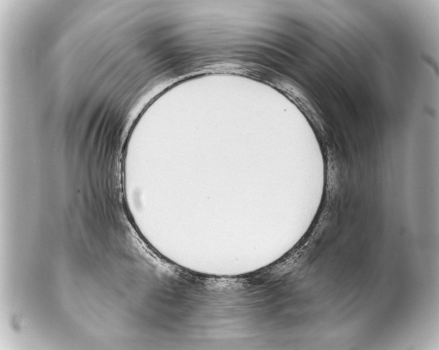 X0000101460808200808041040