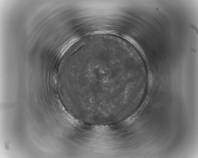X0000101460809200808041040